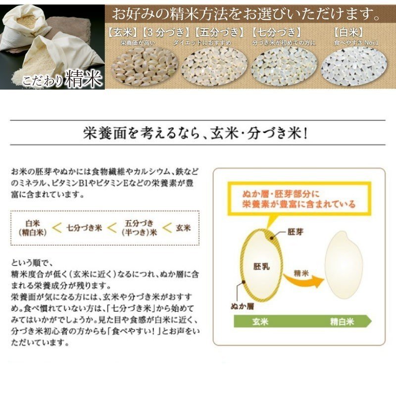 滋賀県産コシヒカリ（10kg）【精米方法が選べます】　OKAMOTO